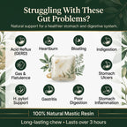 Mastic Gum