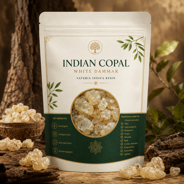 Indian Copal / White Dammar (Vateria indica Resin)