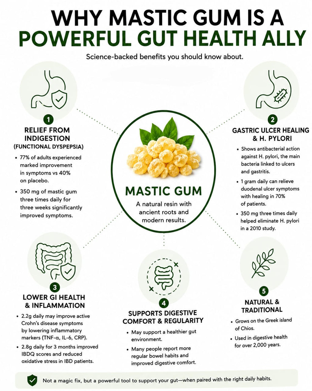 Mastic Gum
