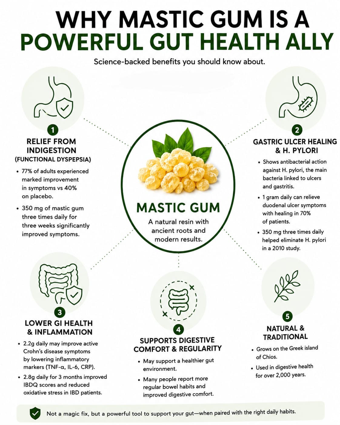 Mastic Gum
