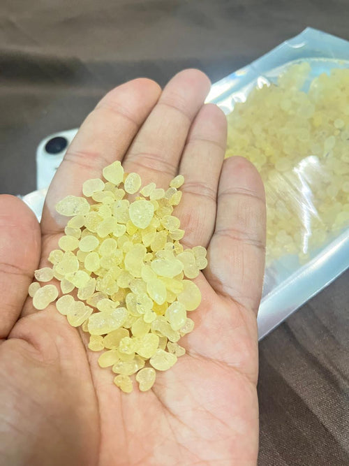 Chios Mastic Gum (Greece Imported) 10gm